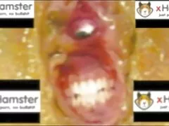 Dick-in-a-Box ne vieillit JAMAIS ! - porno amateur gratuit français exploit. Ciel de Vina